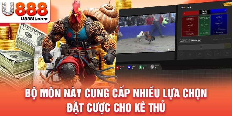 bo-mon-nay-cung-cap-nhieu-lua-chon-dat-cuoc-cho-ke-thu